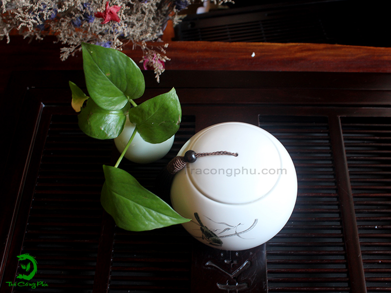 Bình Đựng Trà - BDT167